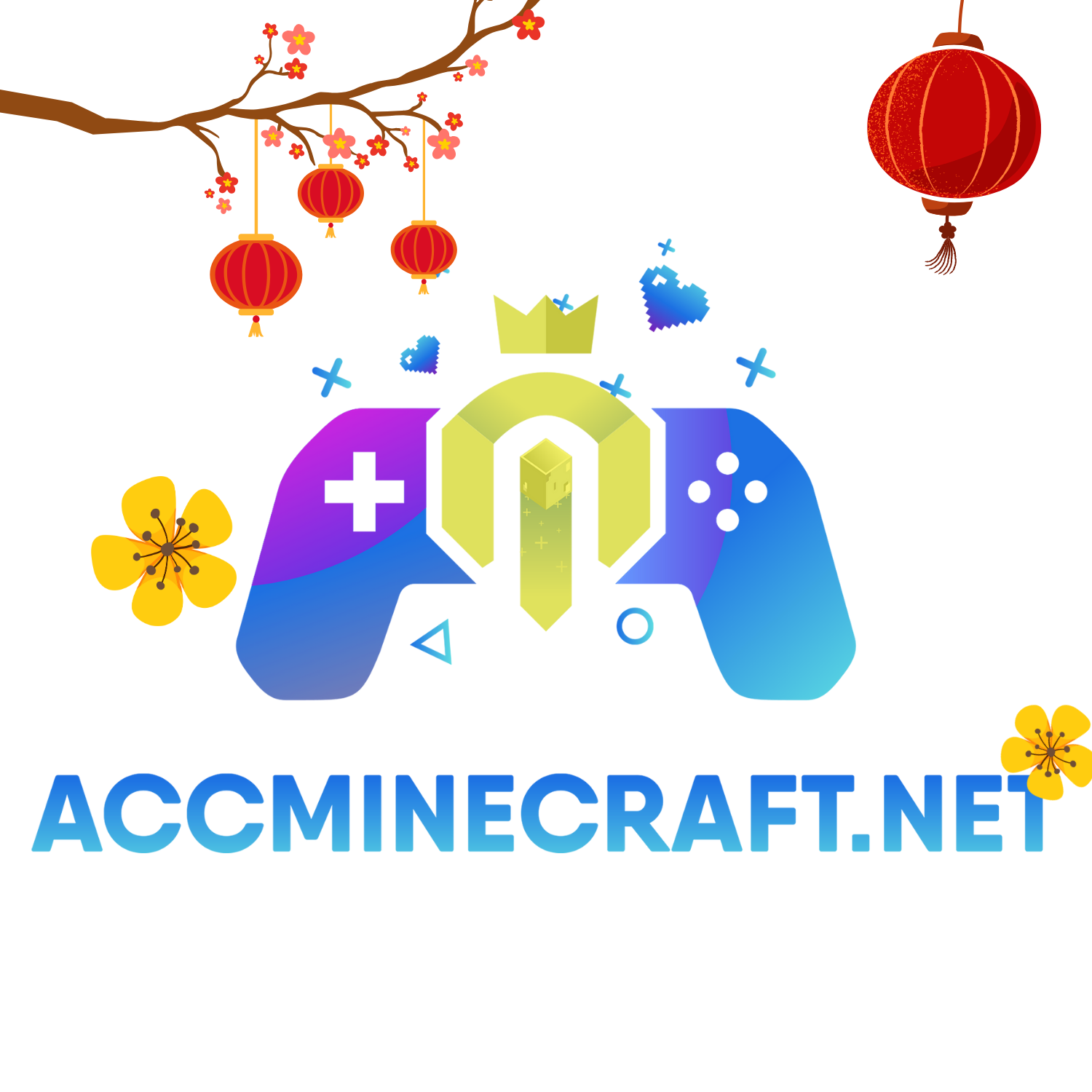 accminecraft.net